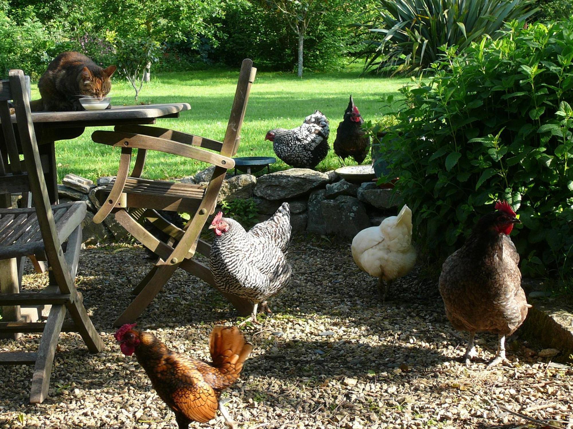 La Ferme De Kerhors 호텔 Tréméoc 외부 사진